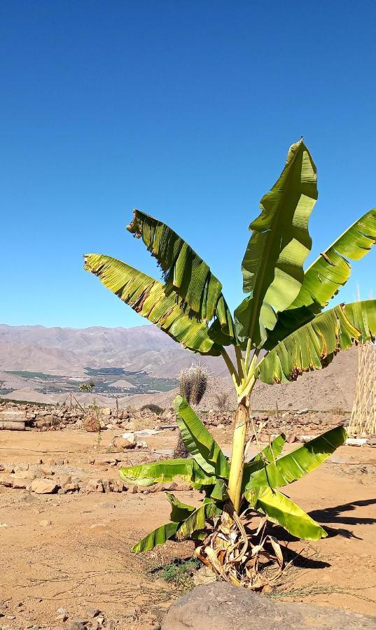 Campo De Cielo Mamalluca Valle De Elqui Vicuña Eksteriør bilde